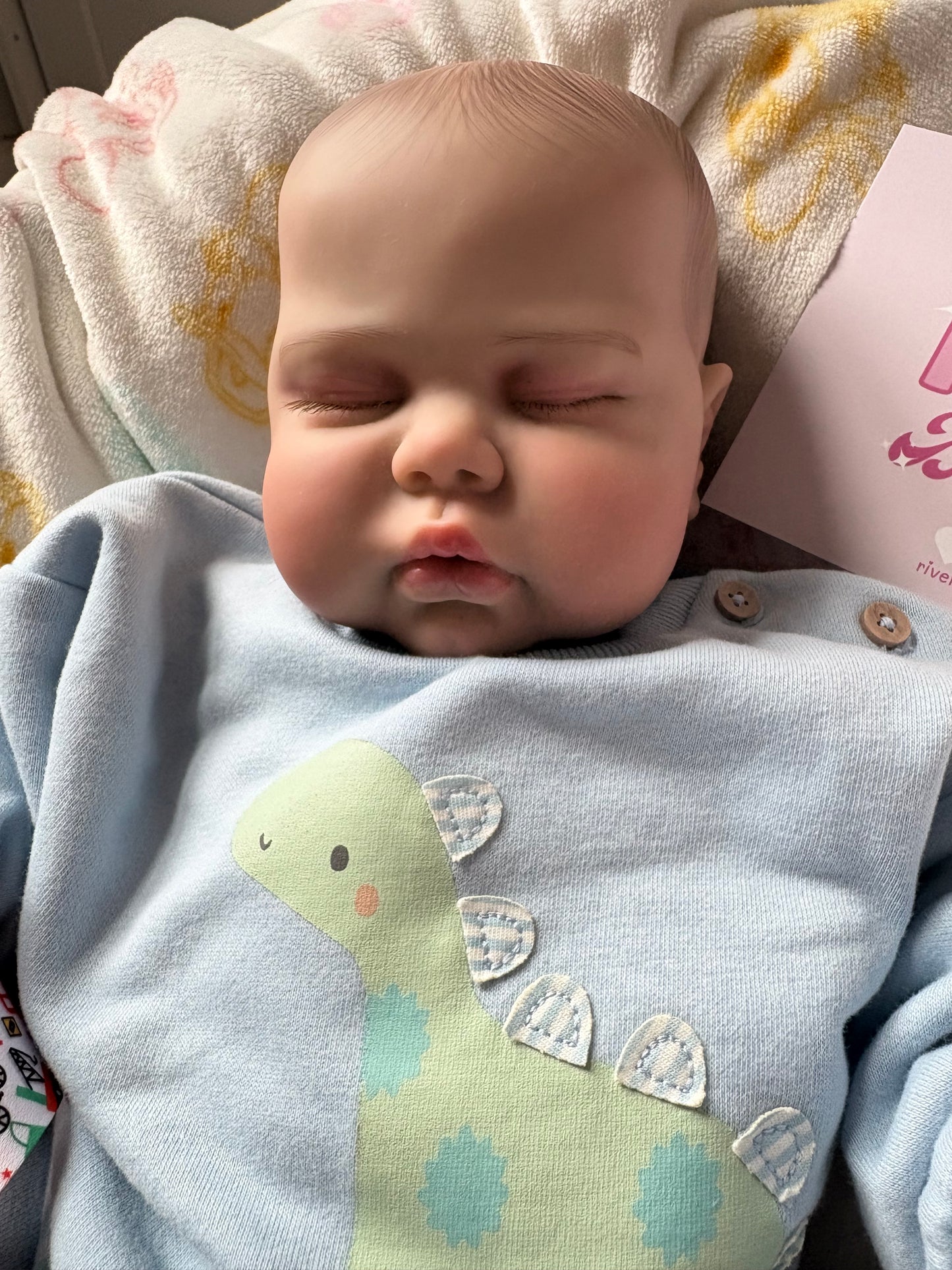 Toddler Boy Reborn - Soft Body Weighted