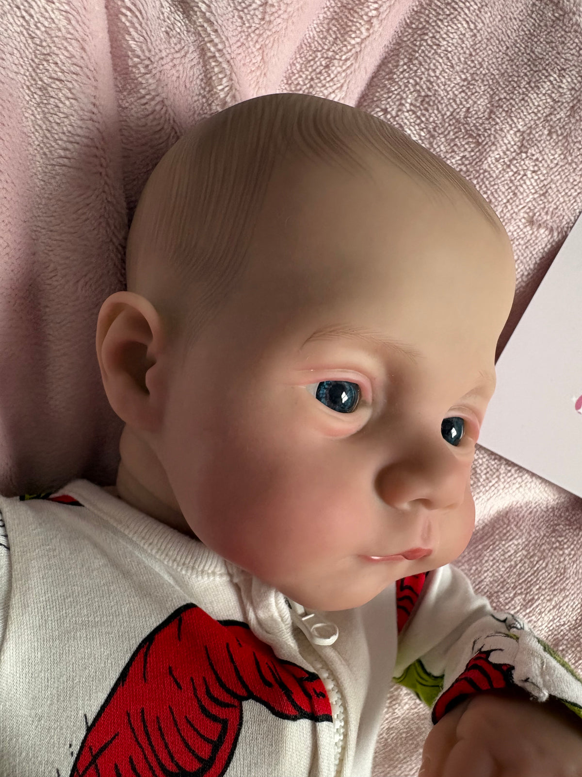 Baby Boy Reborn - Soft Body Weighted